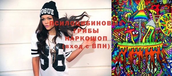 амф Богородицк