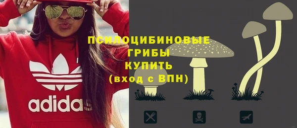 ПСИЛОЦИБИНОВЫЕ ГРИБЫ Богданович