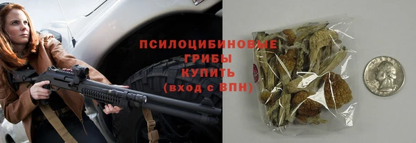 соль ск Богородск