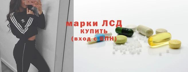 ПСИЛОЦИБИНОВЫЕ ГРИБЫ Богданович