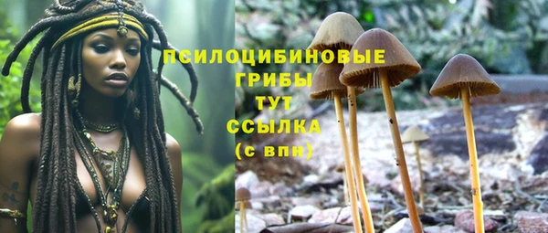 ПСИЛОЦИБИНОВЫЕ ГРИБЫ Богданович