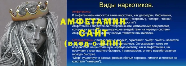 ПСИЛОЦИБИНОВЫЕ ГРИБЫ Богданович