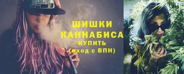ПСИЛОЦИБИНОВЫЕ ГРИБЫ Богданович
