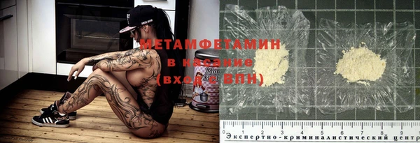 ПСИЛОЦИБИНОВЫЕ ГРИБЫ Богданович